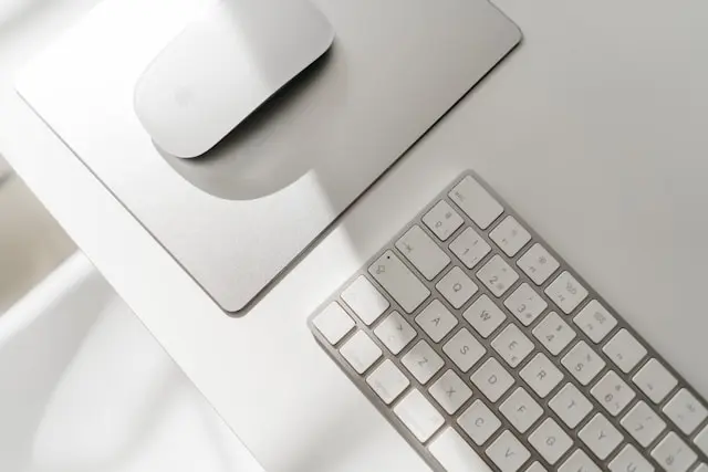 Édition de documents : mise en page, correction, rédaction et préparation de documents professionnels et personnels.